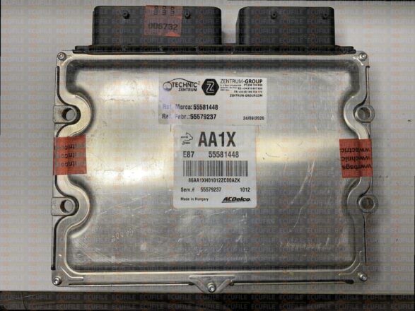 ECM Cloning & Programming Service | Plug-and-Play ECU Replacement